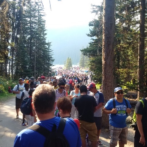 Visitors stand in line along a pathway creating a long lineup, several metres wide.  
