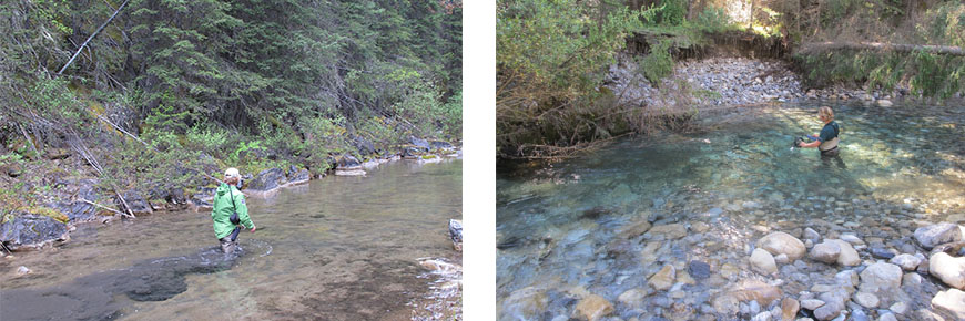 2 images show Parks Canada staff standing in Cascade Creek before and after the flood to demonstrate the increase in water flow.