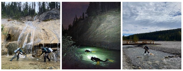 Parks Canada scientists conduct various monitoring activities in a series of 3 images.