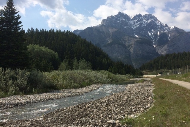 A view of Cascade Creek with rapids visible in the clear running water.