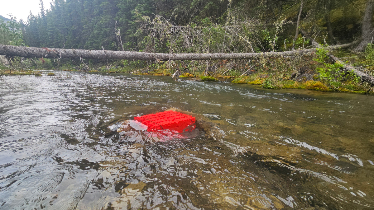 L’incubateur spécialisé Jordan-Scotty est utilisé pour l’incubation des œufs de truite fardée dans le ruisseau Cascade jusqu’à leur éclosion et leur dispersion dans le cours d’eau.