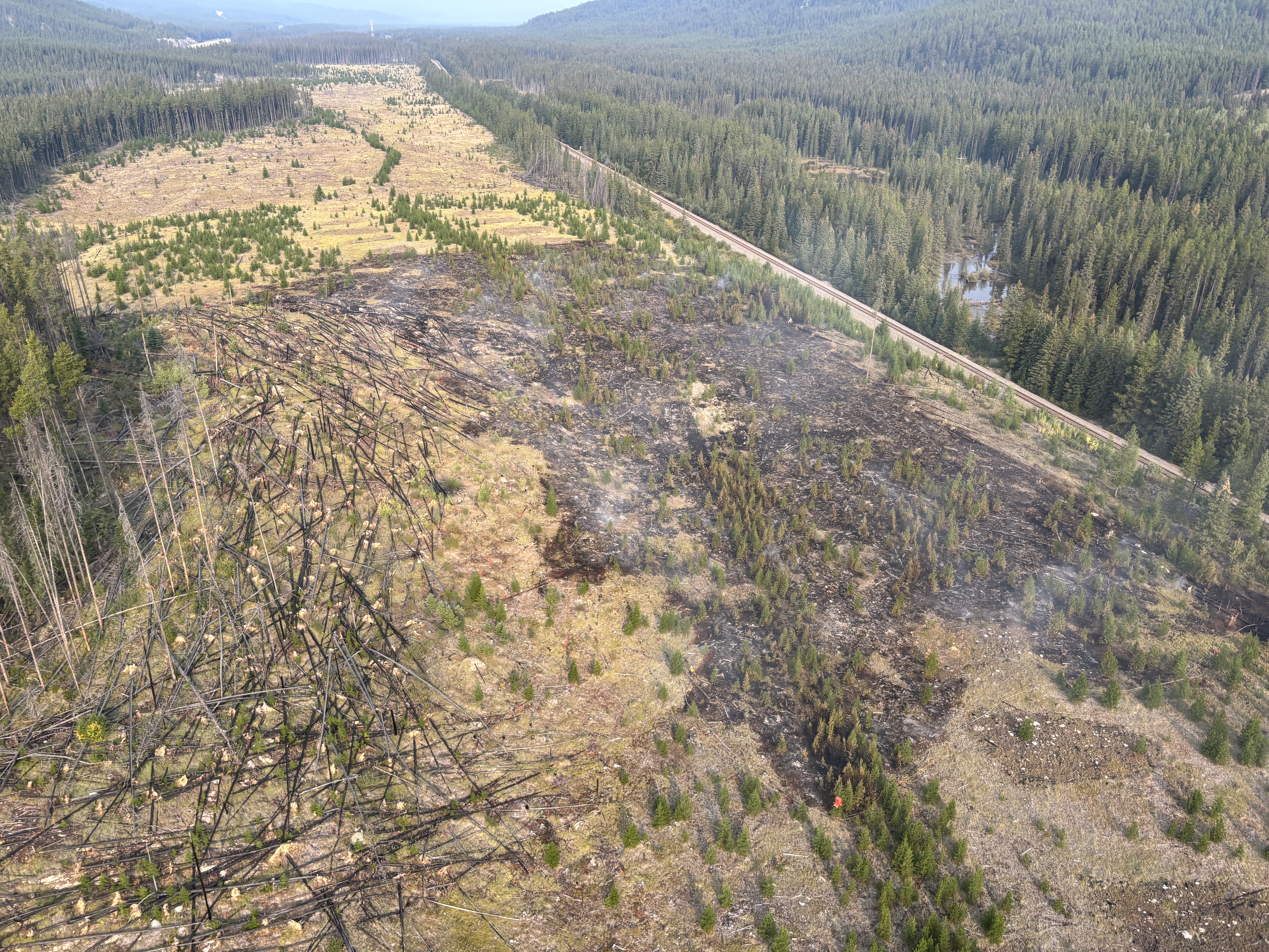 Moose Meadows