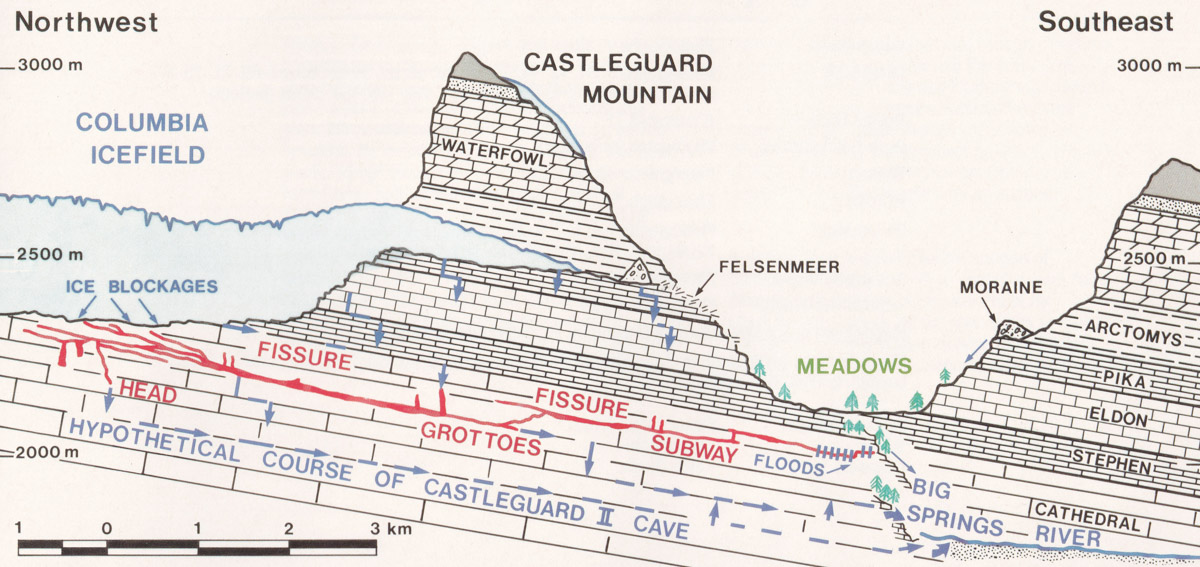 A map showing varying rock formations (from botom to top: Cathedral, Stephen, Eldon, Pika, Arctomys), the Columbia Icefield, and Castleguard Cave through Castleguard Mountain with a potential Castleguard II Cave path under the current cave. The map shows where water floods out near the cave entrance towards Castleguard Meadows.