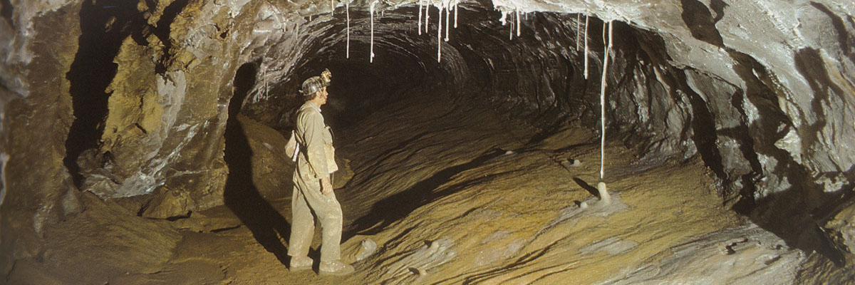 A researcher admires a stalactite around 160 cm long approaching a stalagmite in Castleguard Cave