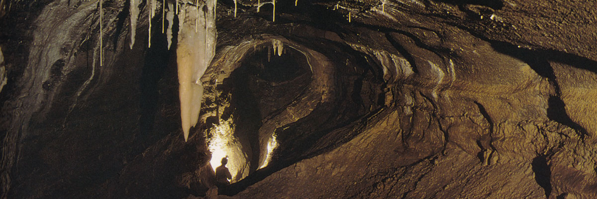 Inside Castleguard Cave, a beautiful stalactite is seen emerging from the cave ceiling while an expedition member is observing the cave walls and floor.