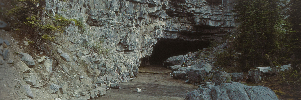 The small entrance to Castleguard Cave seen with seasonal flooding flowing out over the naturally formed pavement. A large boulder, some trees, and other vegetation are seen in the foreground, in front of the cave entrance. The entrance sits within a limestone rock formation.