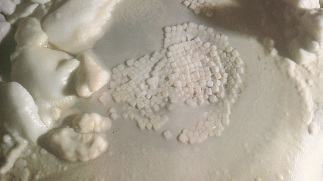 Highly unusual cube-like cave pears are found in Castleguard Cave. These cave pearls are small but resemble an unmarked dice.