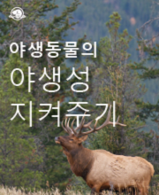 Keep wildlife wild - Korean