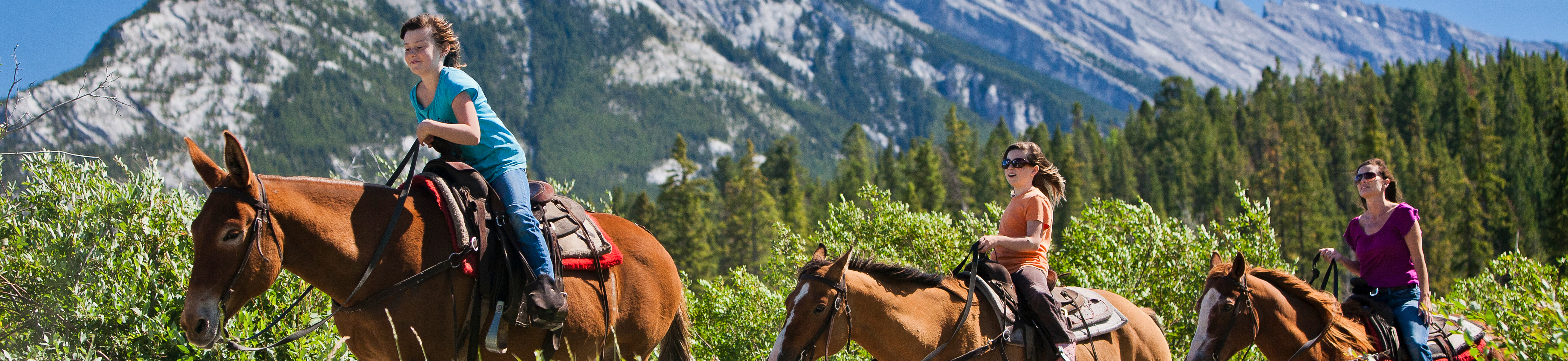 horseback riding