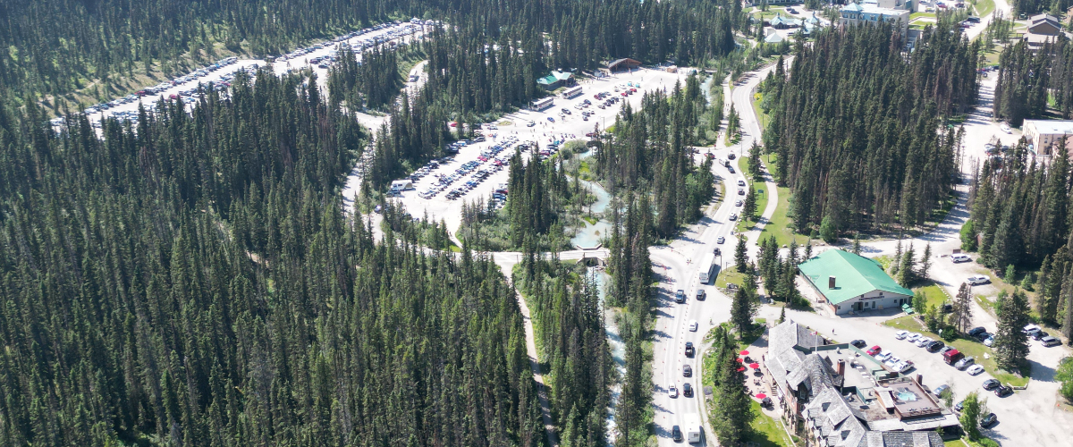 An birds eye view of Lake Louise Drive at the Lakeshore.