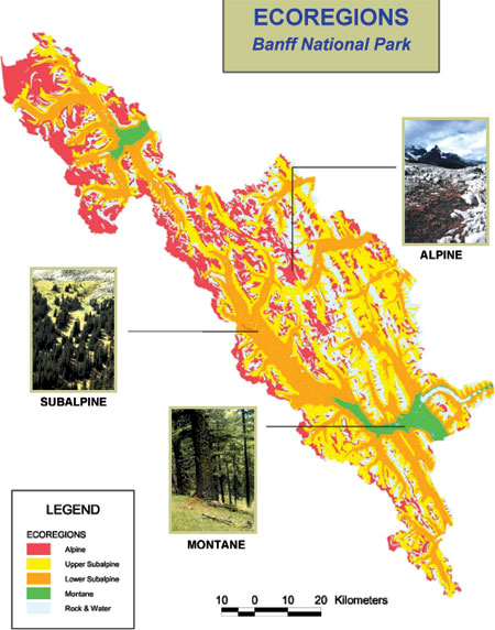 Map of the ecoregions of Banff National Park, alpine, upper subalpine, lower subalpine, montane, rock and water
