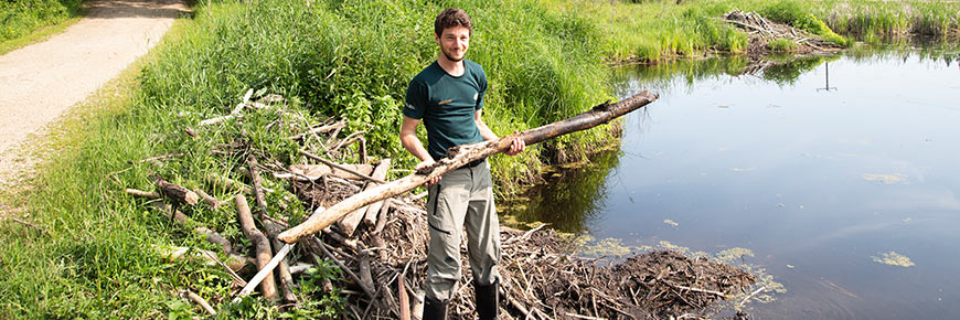 Des employés de Parcs Canada détruisent les digues de castor dans les principaux systèmes de drainage du parc. 