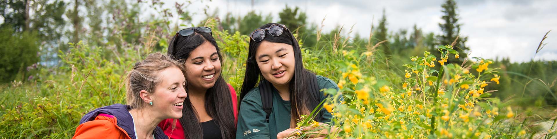 A park interpreter teaches two visitors about plants found in the park, Elk Island National Park.