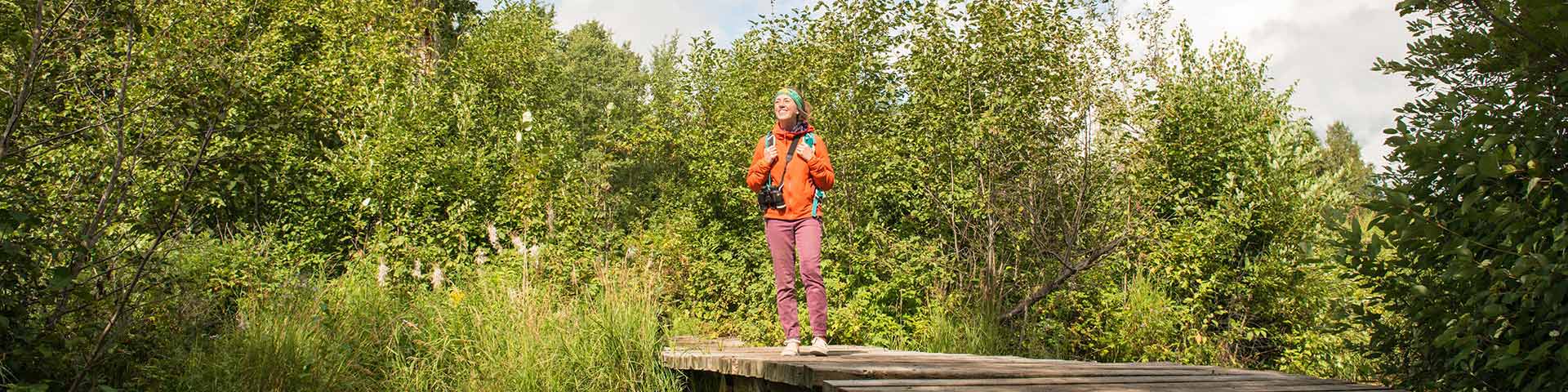 Un visiteur en randonnée traverse un pont du sentier Vue sur le lac, parc national Elk Island. 