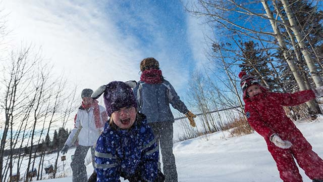 Une famille jouent au neige, parc national Elk Island