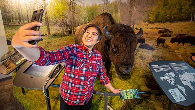 A person taking a selfie with a stuffed bison.