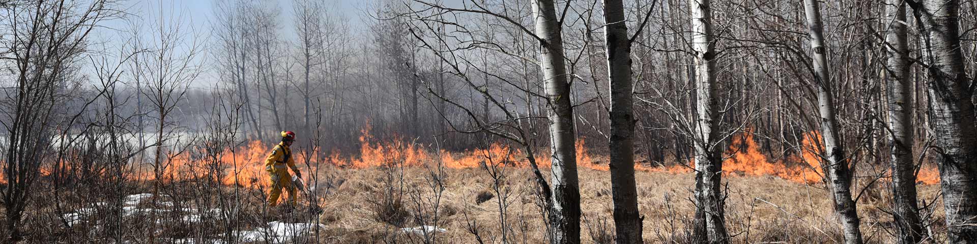 A fire management specialist ignites a prescribed fire
