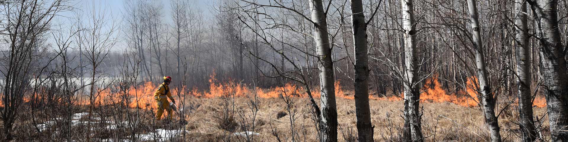 Un spécialiste de la gestion des incendies allume un brûlage dirigé