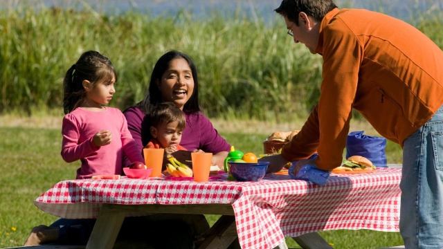 Family enjoying a picnic outdoors with a red and white checkered tablecloth and colorful cups and bowls on a picnic table.