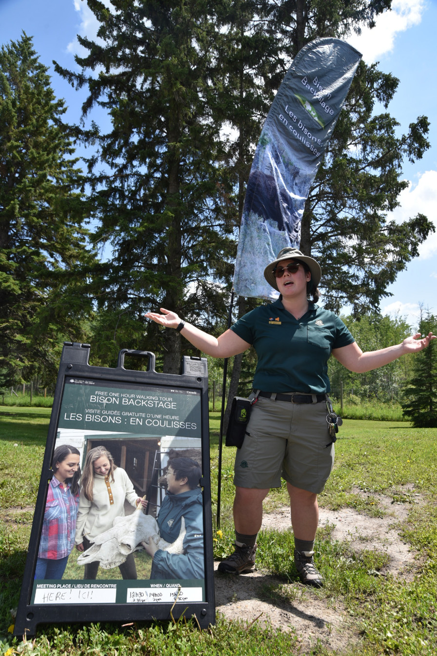 Un interprète de Parcs Canada se tient à côté d’un panneau en A et d’un drapeau pour la visite en coulisses des bisons.