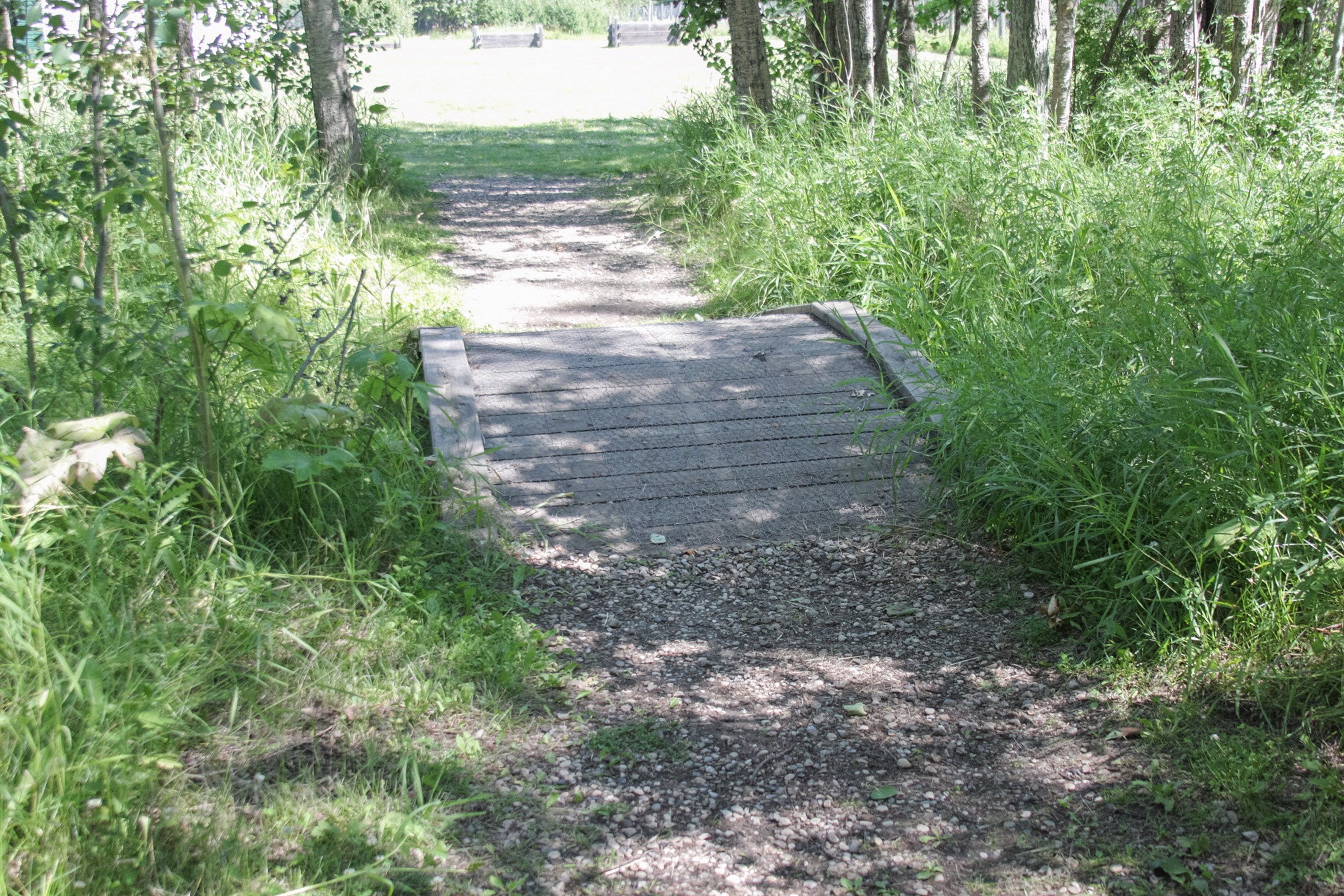 Pont en bois convexe recouvert d’un filet antidérapant le long du chemin de gravier menant au centre d’accueil et à la grange historique.