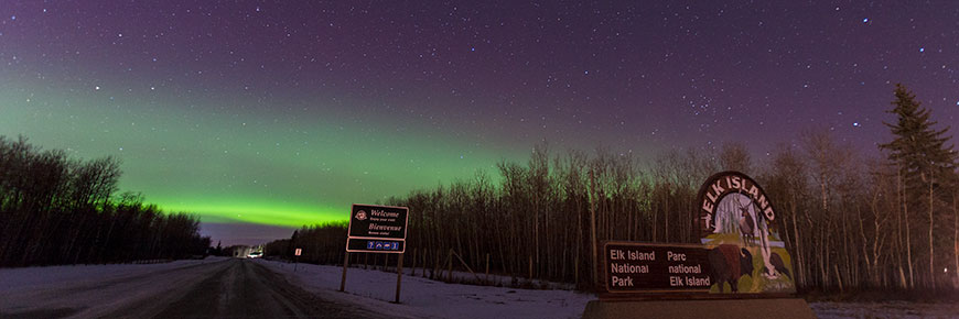 Le ciel étoilé du parc national Elk Island.