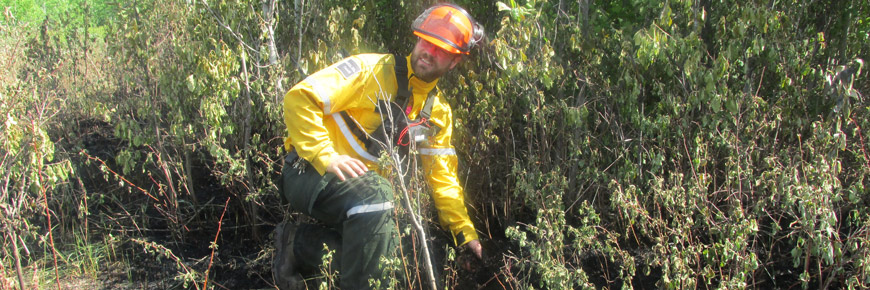 A Parks Canada fire crew member investigates an area burned by a wildfire.
