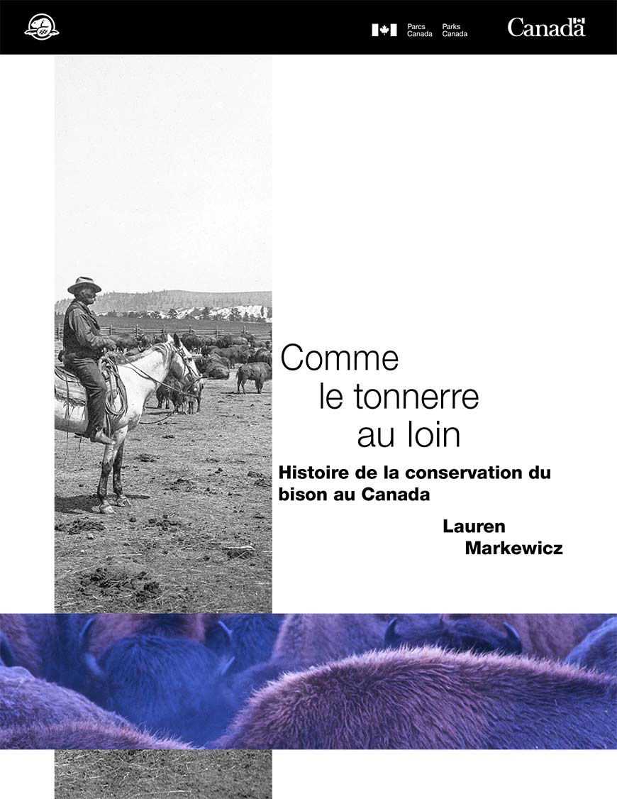 Photographie historique d’un cow‑boy âgé sur un cheval blanc dans un corral entourant une harde de bisons.