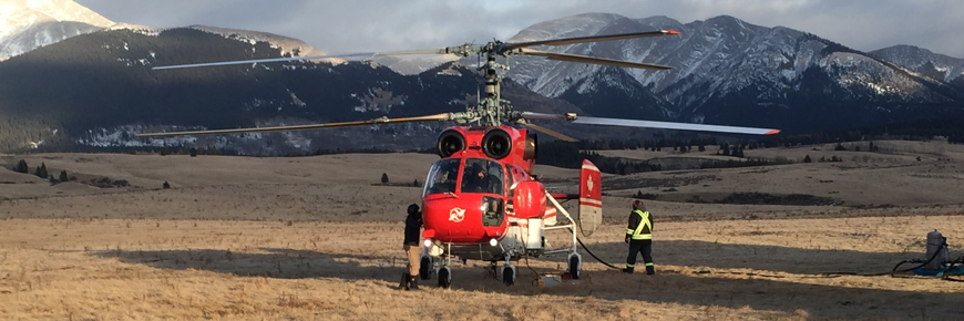 A helicopter used to transport bison is has landed in a mountain meadow