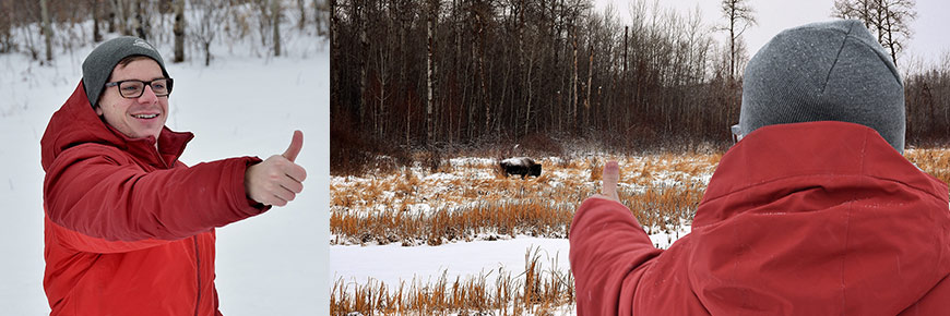 La méthode du pouce : Une visiteuse lève le pouce pour couvrir un bison. Cette méthode lui permet de savoir qu’elle se trouve à au moins 100 mètres de l’animal.