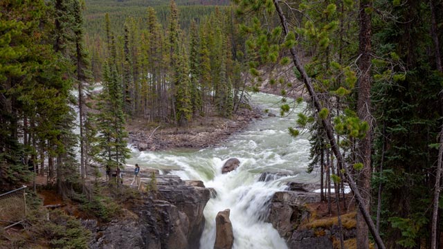 Sunwapta Falls