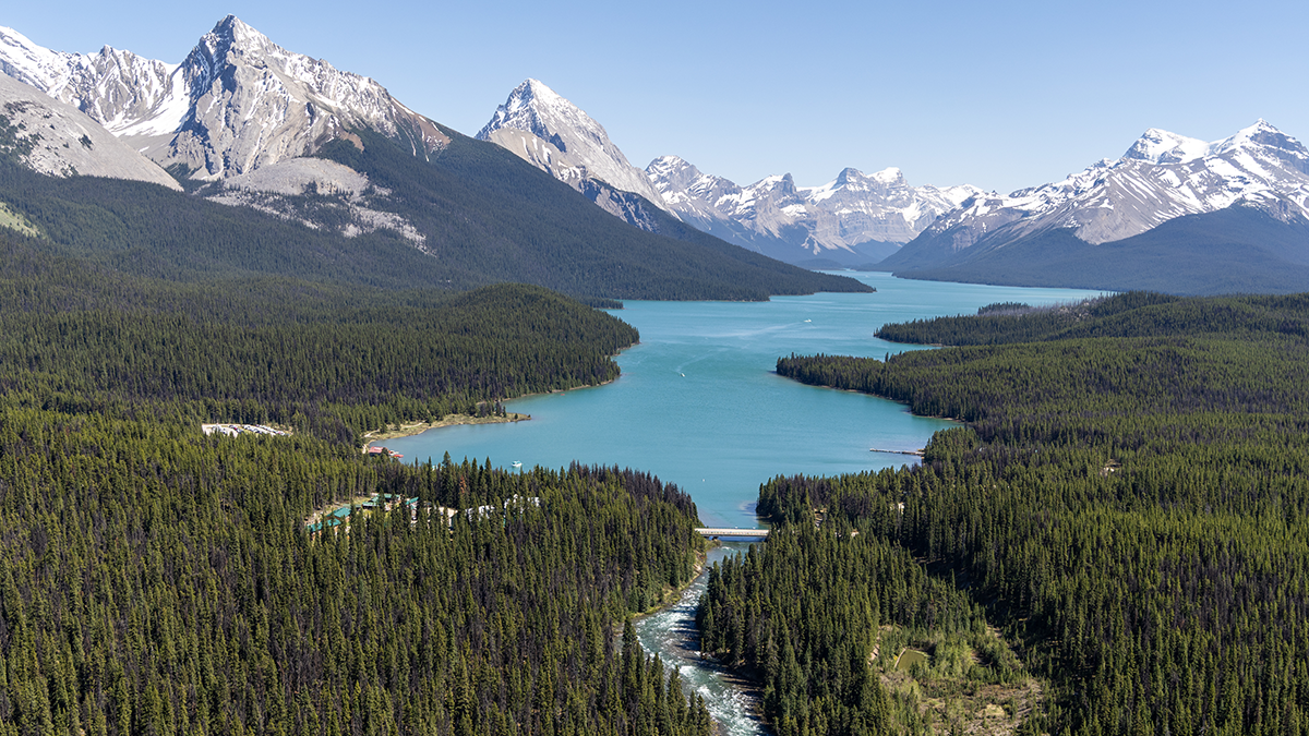 View of Maligne lake surrounded by a forest of trees, and with mountains in the background.