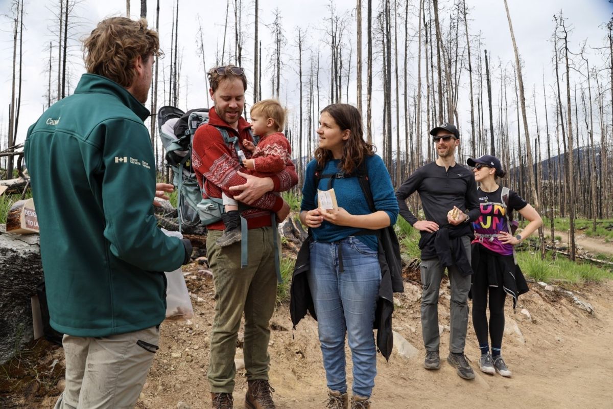Les visiteurs de tous âges en apprennent davantage sur la régénération de la végétation et les efforts de restauration à la suite des feux de forêt. 