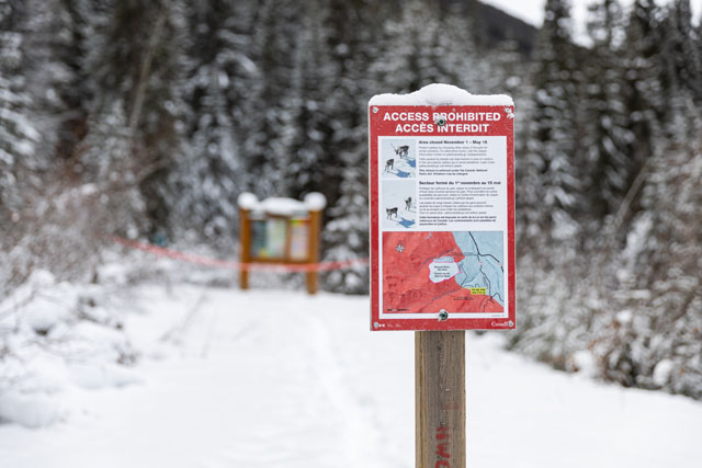 area closure signage