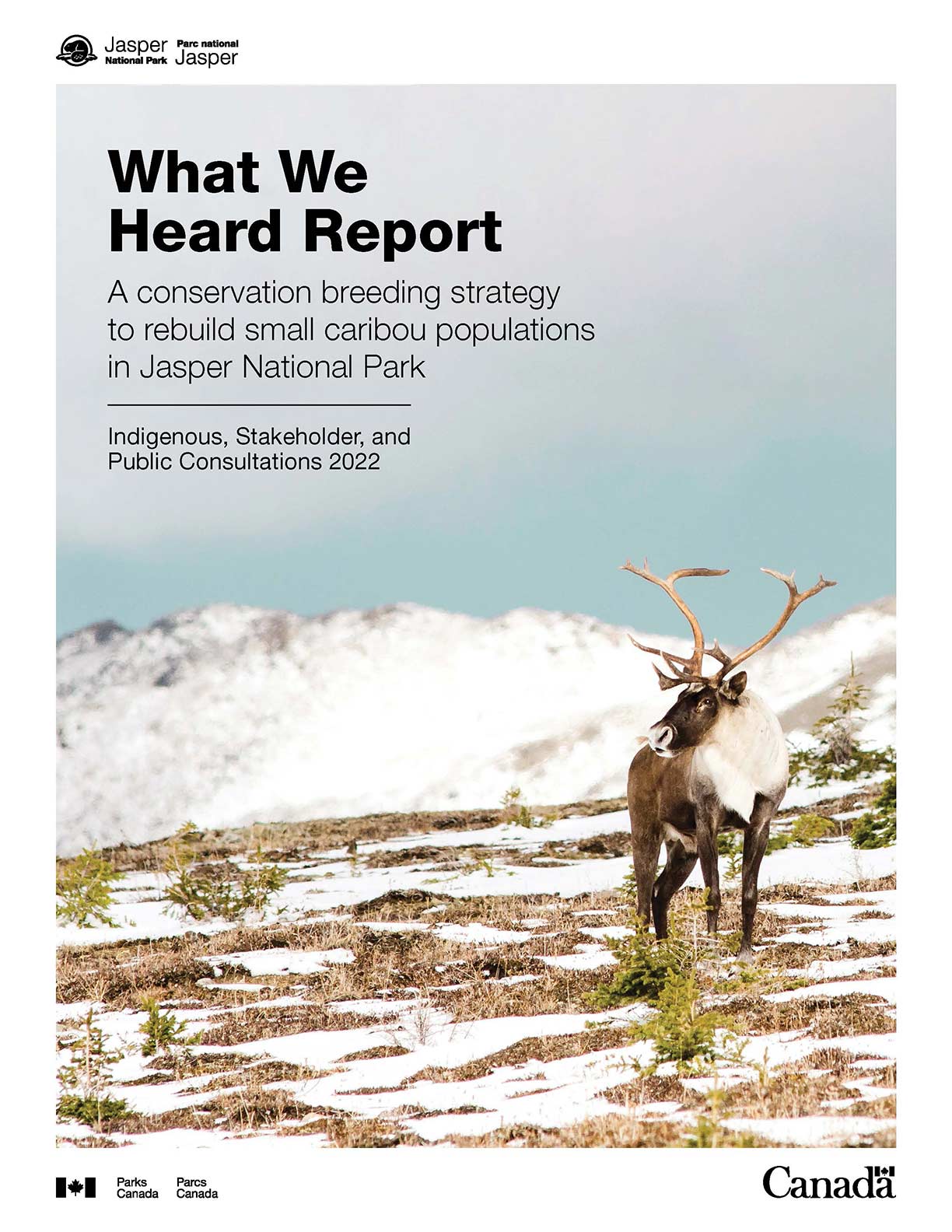 cover of the What we heard report