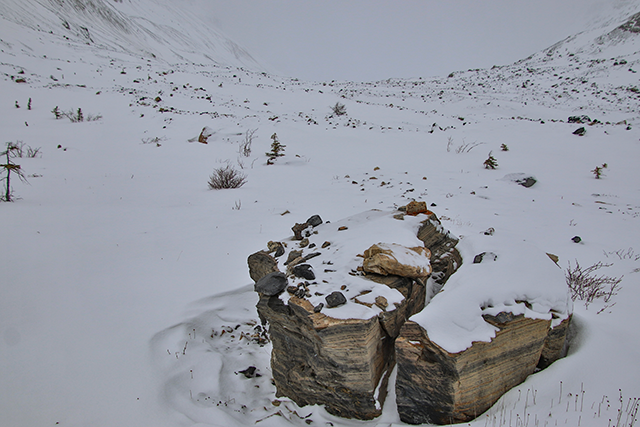 View of a snowy forefield with sparse vegetation and a large boulder peeking out.