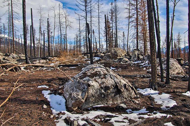 A large boulder with dead trees in the background and additional boulders further back.