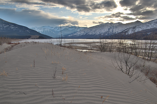 Sand dunes with tree trunks and branches growing within them, a lake, and the Rocky Mountains in the background.