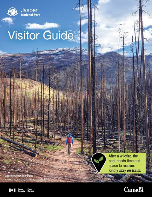 Visitor guide cover showing a hiker on a trail through a fire-affected forest.