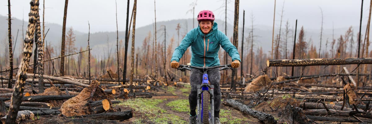 A person rides a bike in a burned forest.