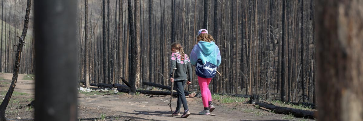 Two children walk on a trail in a burned forest.