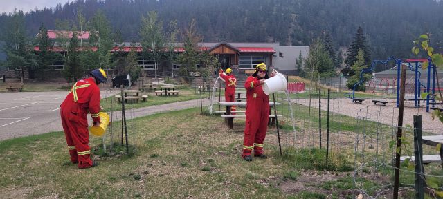 Structural firefighters watering trees around town. August 14, 2024