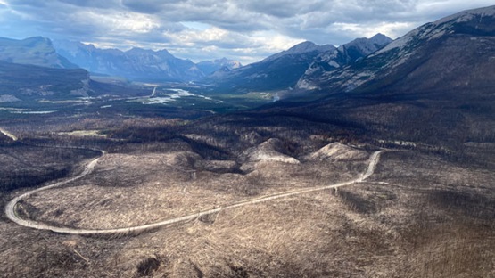 Overhead view of a large fire-damaged area in the park.