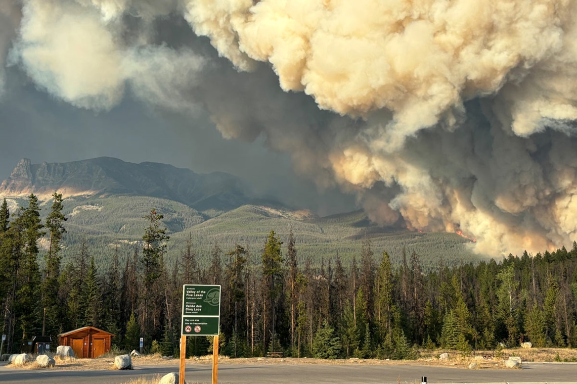 A road with a sign, a wooden shed, and a smoky forest in the background.