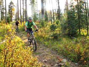 Mountain Biking in Jasper