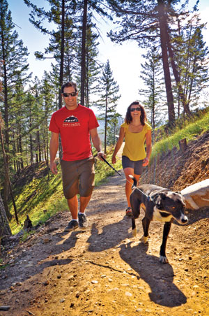 Keep dogs on a leash