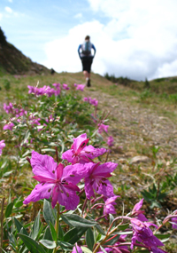 Demeurez sur les sentiers, la végétation y est fragile.