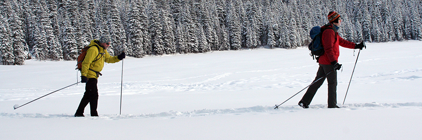 Deux adultes font du ski de fond près du lac Cameron dans le parc national des Lacs-Waterton