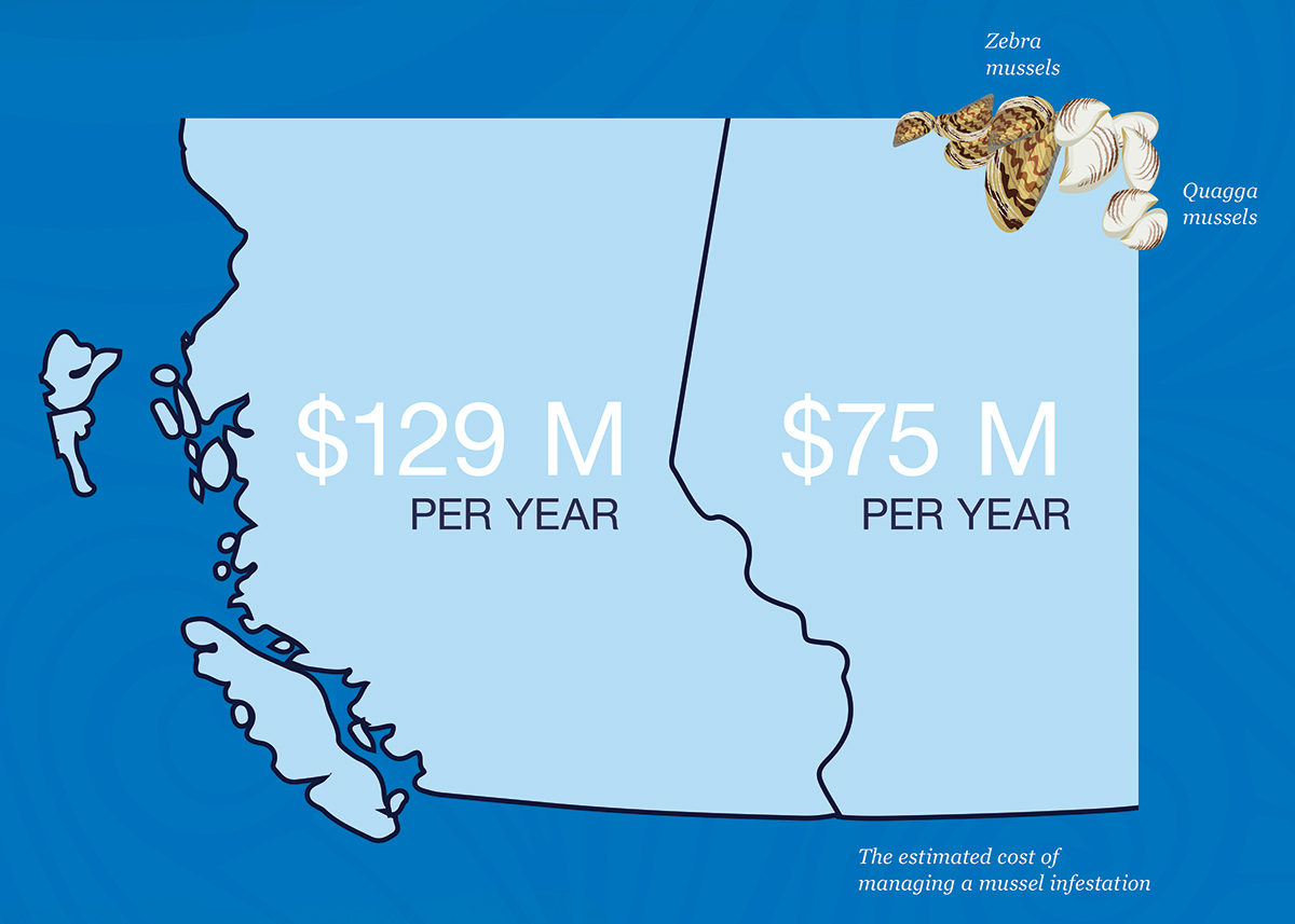 infographic depicting the estimated costs of managing invasive mussel infestations in Alberta and British Columbia. $75M and $129M respectively.
