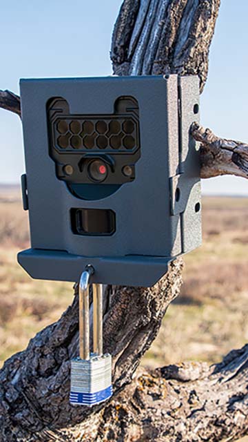 wildlife camera